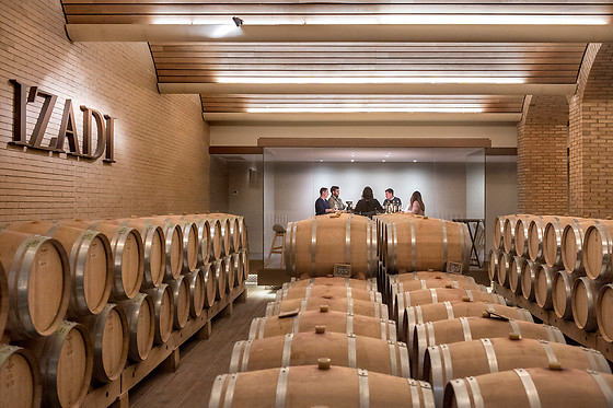 Una visita a viñedo en ebike y cata de vinos en bodega para 2 en Bodegas Izadi en Villabuena de Álava (Álava)