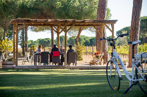 Una visita a viñedo en ebike y cata de vinos en bodega para 2 en Bodegas Izadi en Villabuena de Álava (Álava)