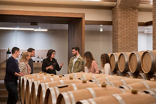 Una visita a viñedo en ebike y cata de vinos en bodega para 2 en Bodegas Izadi en Villabuena de Álava (Álava)