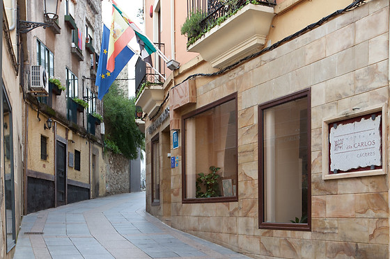 HOTEL DON CARLOS CACERES - photo 9