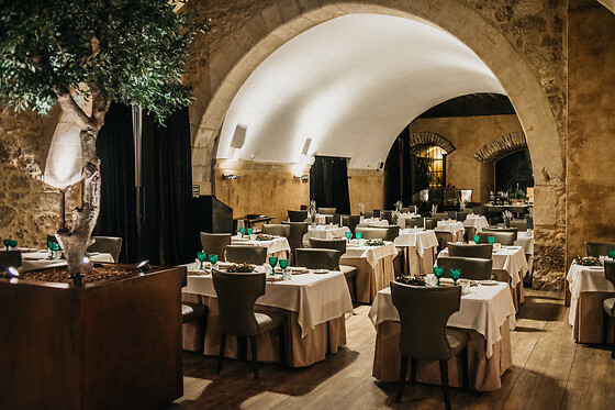 HOSPES PALACIO DE SAN ESTEBAN - photo 12