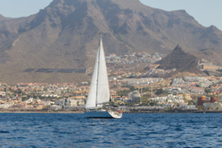 Excursión en velero exclusivo para avistamiento de cetáceos en Costa Adeje (Santa Cruz de Tenerife)
