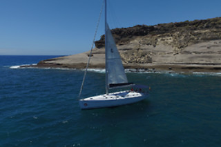 Excursión en velero exclusivo para avistamiento de cetáceos en Costa Adeje (Santa Cruz de Tenerife)