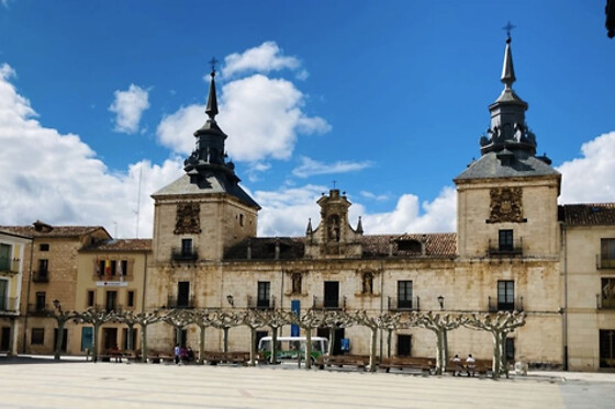 Un tour nocturno y acceso al Museo de la Historia de El Burgo De Osma para 1 en Mini-Bus Turístico Ecológico en Soria