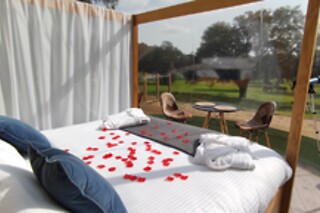 Una noche en una burbuja con desayuno en sky Buble en El Toril Glamping Experience- Sky Buble en Velada (Toledo)