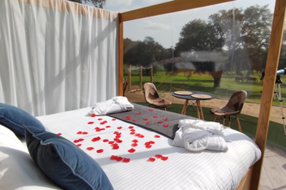 Una noche en una burbuja con desayuno en sky Buble en El Toril Glamping Experience- Sky Buble en Velada (Toledo)
