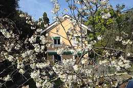 B&B La Rosa Segreta