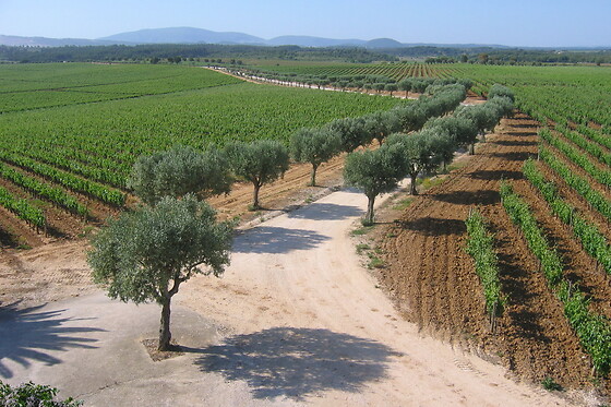 QUINTA DO CARNEIRO - photo 1