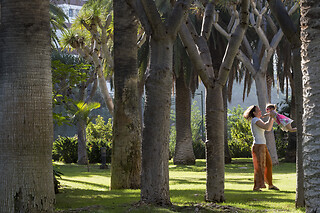 Precise Resort Tenerife en Los Realejos (Tenerife)