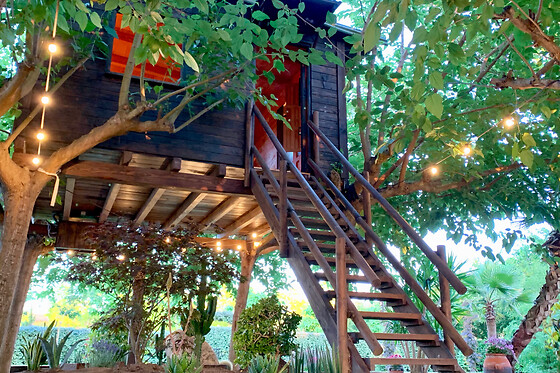 Una noche en Tree House con desayuno para 2 en Nature Tree House en Blanes (Girona)