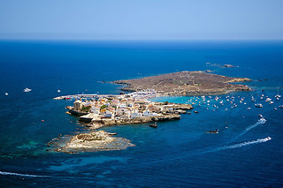 Inmersión con guía en en la Reserva Marina Isla de Tabarca (Alicante)