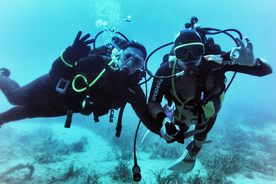 Inmersión con guía en en la Reserva Marina Isla de Tabarca (Alicante)