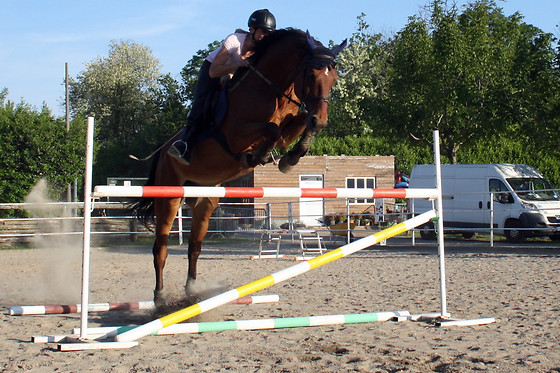 Centro Ippico Neodar - photo 0