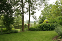 B&B Goudsbloempje