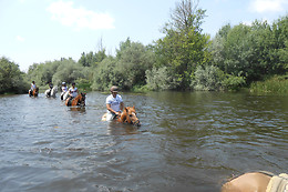 CENTRO ECUESTRE LOS CABALLOS DE LA RIBERA