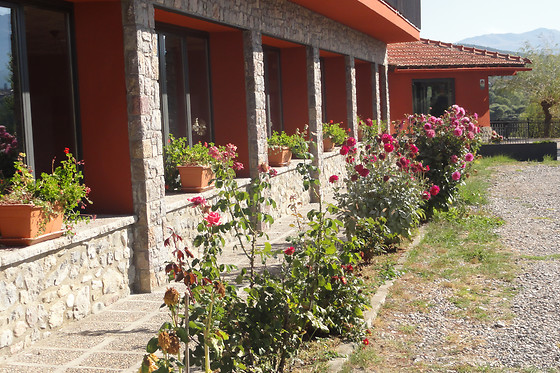 FONDA MATÍA - photo 6