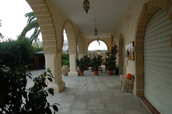 Masseria Le Chianche - photo 5