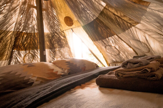 Una noche con desayuno para 2 en Studio Mazo The Glamping en El Poleal, Lodero (Santa Cruz de Tenerife)