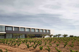 Hotel Bodega Finca de los Arandinos en Entrena (La Rioja)