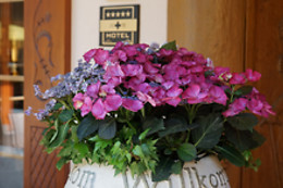 Romantik Hotel Schweizerhof Grindelwald