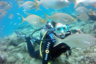 Bautismo de buceo en Los Cristianos (Santa Cruz de Tenerife)