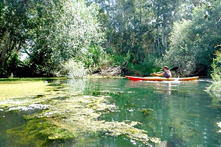 Alquiler de Kayak 4 horas en Tarragona