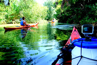 Ruta en kayak en Deltebre (Tarragona)
