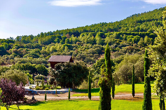 FINCA LOS CANCHALES - photo 19