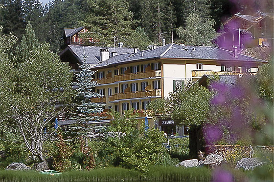 Hotel du Glacier - photo 1