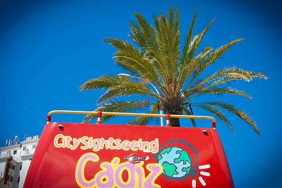 Un tour panorámico en bus para 2 en City Sightseeing Cádiz en Cádiz