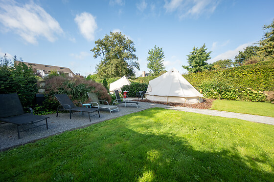 De Witte Merel & Hotel at home - photo 4