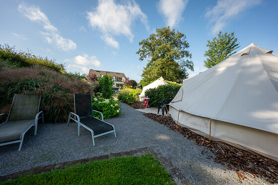 De Witte Merel & Hotel at home - photo 2