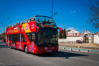 Un tour panorámico en autobús para 2 en City Sightseeing Sevilla en Sevilla