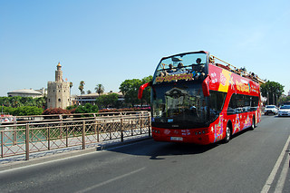 Un tour panorámico en autobús para 2 en City Sightseeing Sevilla en Sevilla