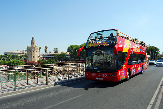 Un tour panorámico en autobús para 2 en City Sightseeing Sevilla en Sevilla