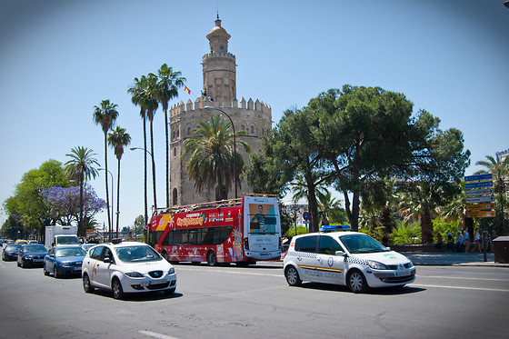 Un tour panorámico en autobús para 2 en City Sightseeing Sevilla en Sevilla
