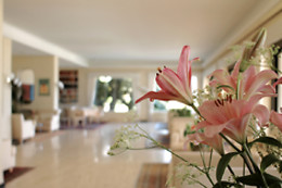 Hotel Ascona