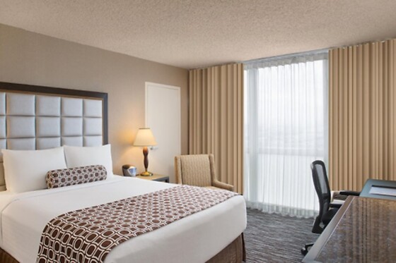 Online Booking EPS - photo 7