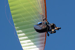 PARAPENTALIA