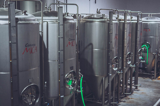 CERVEZA MICA - photo 3