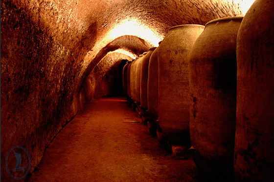 BODEGA LA LEGUA - photo 3
