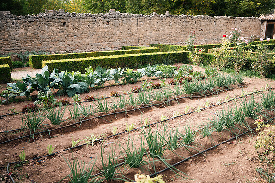 HOTEL RURAL HORT DE FORTUNYO - photo 6