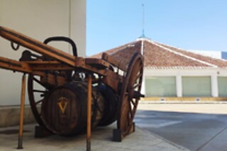 Una visita guiada, degustación y museo de Arte para 3 en Virgen de las Viñas en Tomelloso (Ciudad Real)