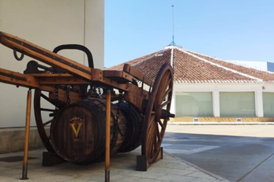 Una visita guiada, degustación y museo de Arte para 3 en Virgen de las Viñas en Tomelloso (Ciudad Real)