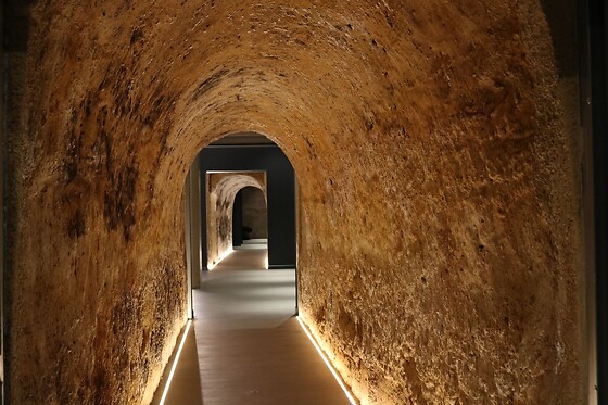 Una visita guiada, degustación y museo de Arte para 3 en Virgen de las Viñas en Tomelloso (Ciudad Real)