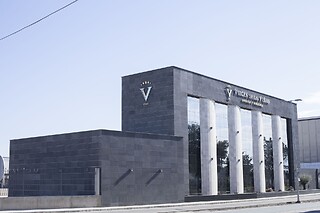 Una visita guiada, degustación y museo de Arte para 3 en Virgen de las Viñas en Tomelloso (Ciudad Real)