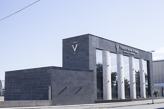 Una visita guiada, degustación y museo de Arte para 3 en Virgen de las Viñas en Tomelloso (Ciudad Real)