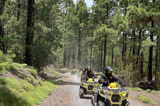 Una experiencia Teide Trip para 1 en Quad Excursions Tenerife en Chío (Santa Cruz de Tenerife)