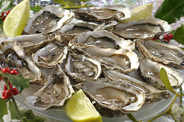 RESTAURANTE FIDEL