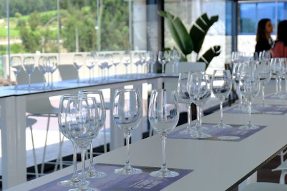 Una visita guiada con degustación para 2 en Bodegas Martín Códax en Vilariño (Pontevedra)